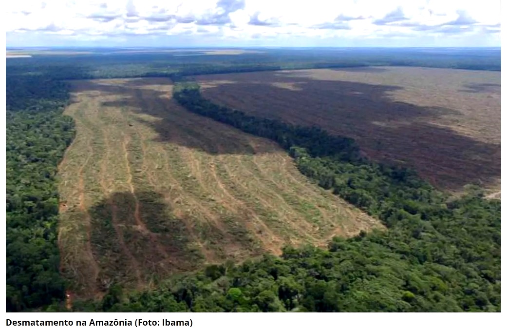 Já atingimos ponto de não retorno em algumas regiões da Amazônia